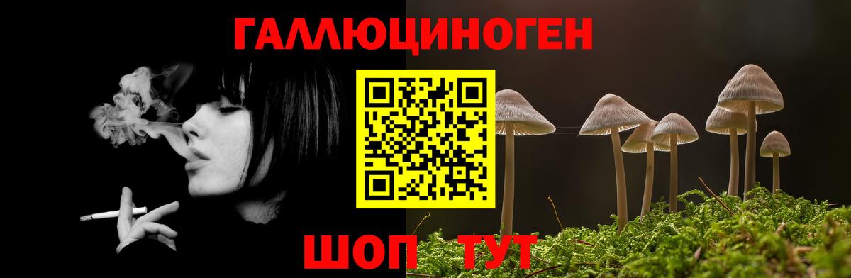 Уссурийск  Псилоцибиновые грибы мицелий  Вход с VPN 