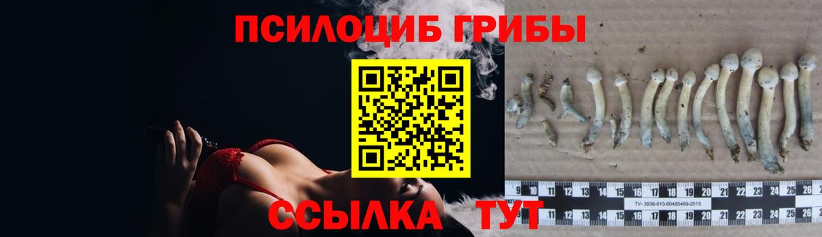 Галлюциногенные грибы мицелий Уссурийск